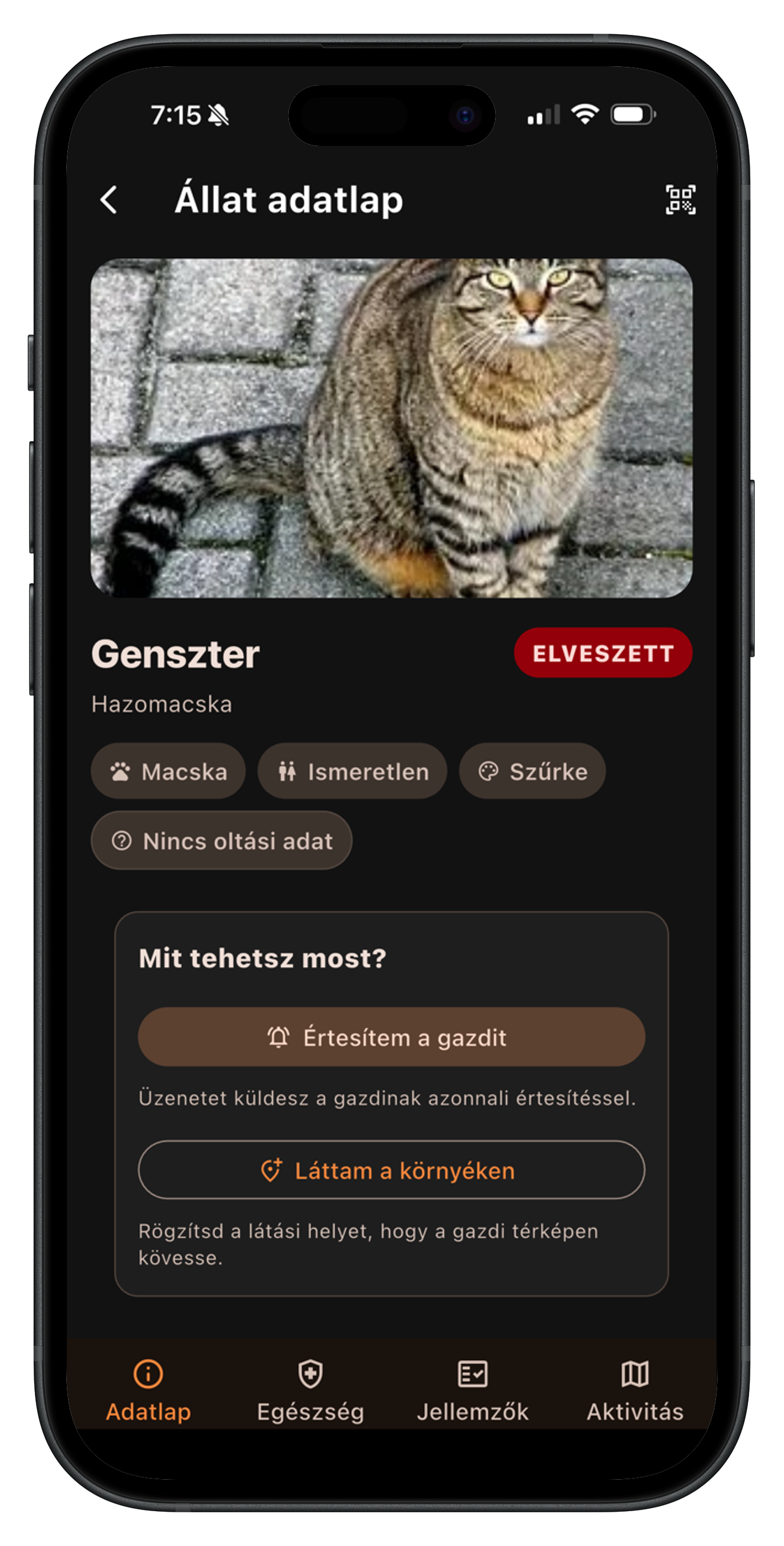 A Kedvencem app elveszett mód nézete