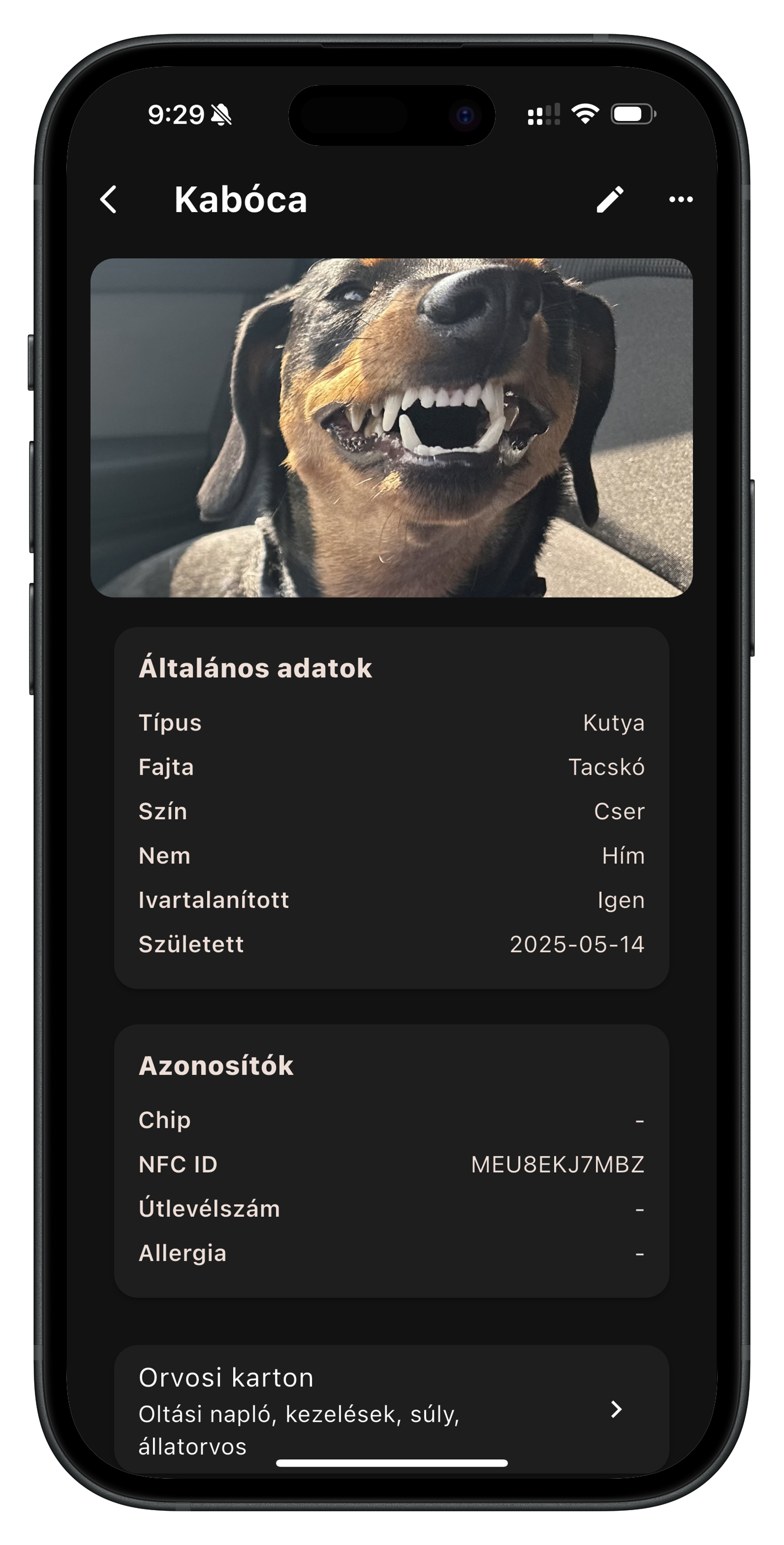 Kedvenc adatlapja
