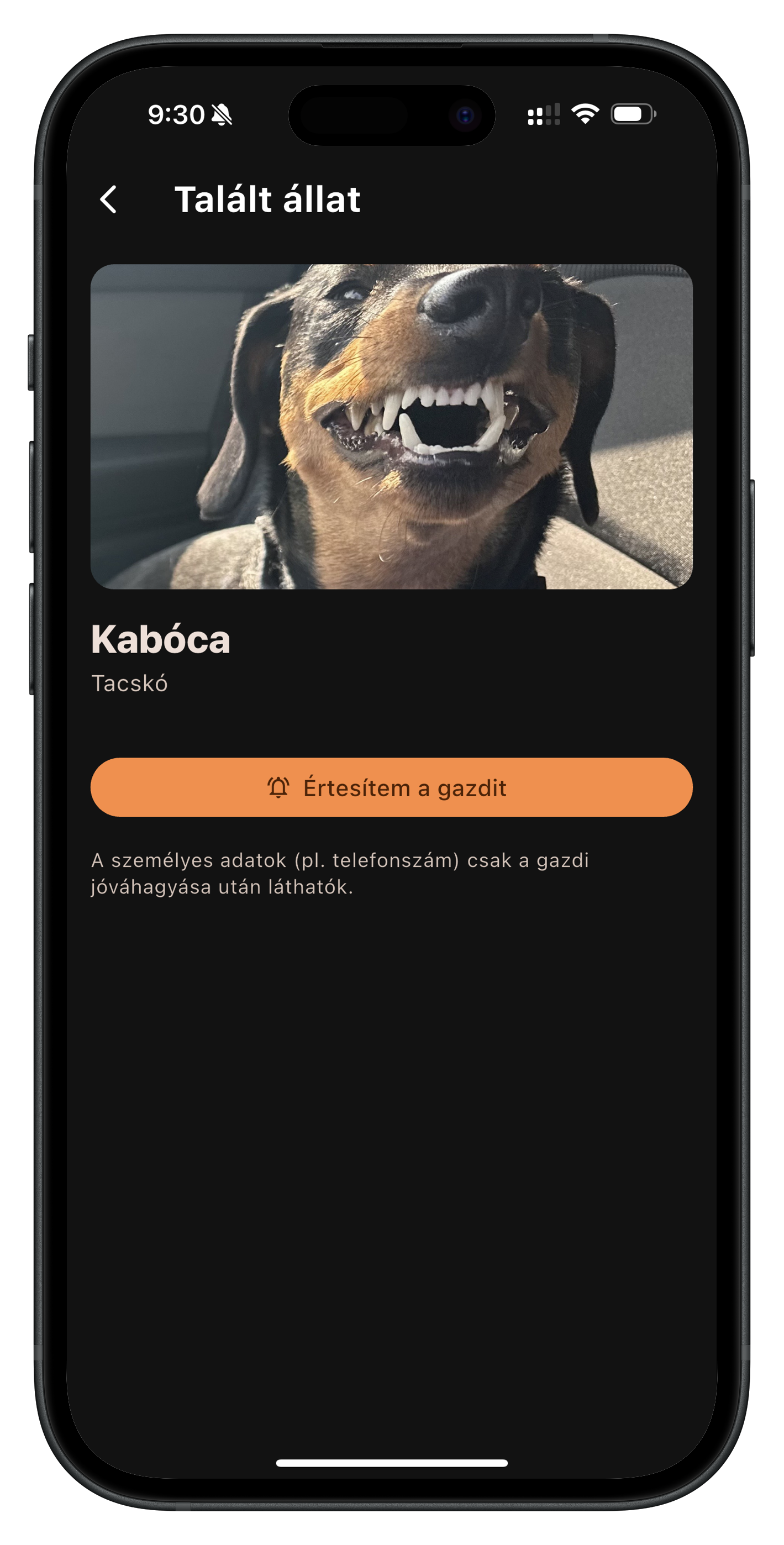 NFC beolvasott talált állat